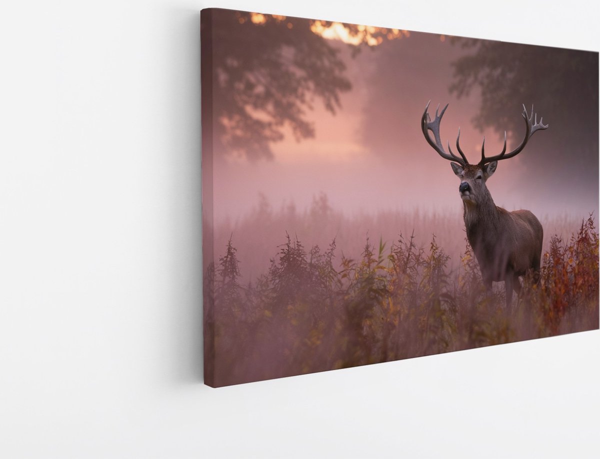 Saammp Canvas Schilderij - hert met zonsopgang in de mist - Natuur - Dieren - 45x30 - Foto op canvas - Wanddecoratie - Muurdecoratie Woonkamer - Slaapkamer decoratie - Canvas Print Multicolor