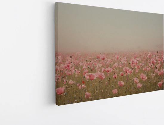 Saammp Canvas Schilderij - Mistig Bloemenveld - Natuur - Abstract - 50x40 - Foto op canvas - Wanddecoratie - Muurdecoratie Woonkamer - Kantoor Decoratie