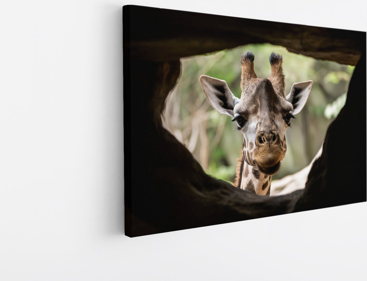 Saammp Canvas Schilderij - Glurende Giraffe - Doorkijk - Dieren - 30x20 - Foto op canvas - Wanddecoratie - Muurdecoratie Woonkamer - Slaapkamer decoratie - Canvas Print Multicolor