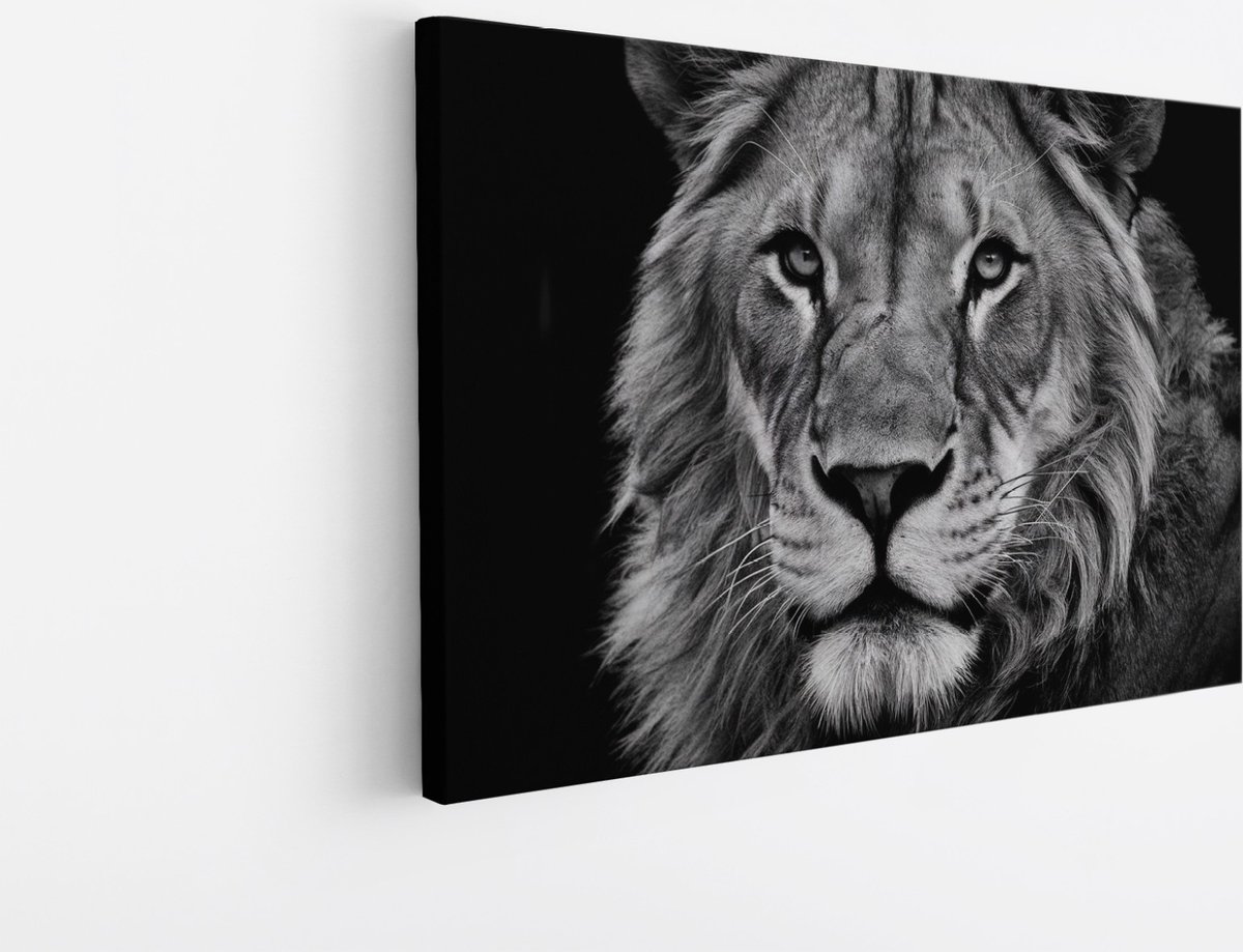 Saammp Canvas Schilderij - Leeuwen Portret - zwart-wit - Dieren - Natuur - 30x20 - Foto op canvas - Wanddecoratie - Muurdecoratie Woonkamer - Slaapkamer decoratie - Canvas Print Multicolor