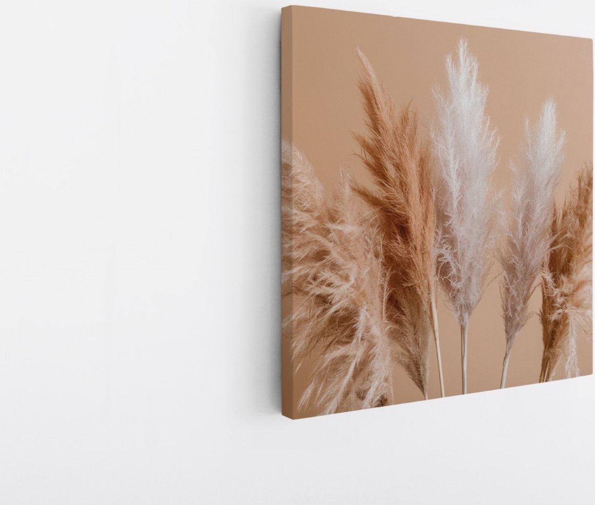 Saammp Canvas Schilderij - Pampas pluimen - Bloemen - Natuur - 30x30 - Foto op canvas - Wanddecoratie - Muurdecoratie Woonkamer - Kantoor Decoratie Multicolor