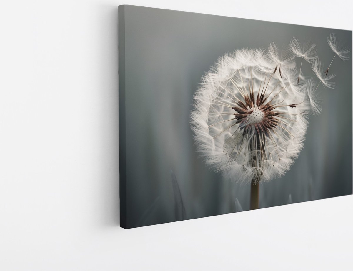 Saammp Canvas Schilderij - Abstracte Paardenbloem in Wind - Natuur - Abstract - 30x20 - Foto op canvas - Wanddecoratie - Muurdecoratie Woonkamer - Kantoor Decoratie Multicolor