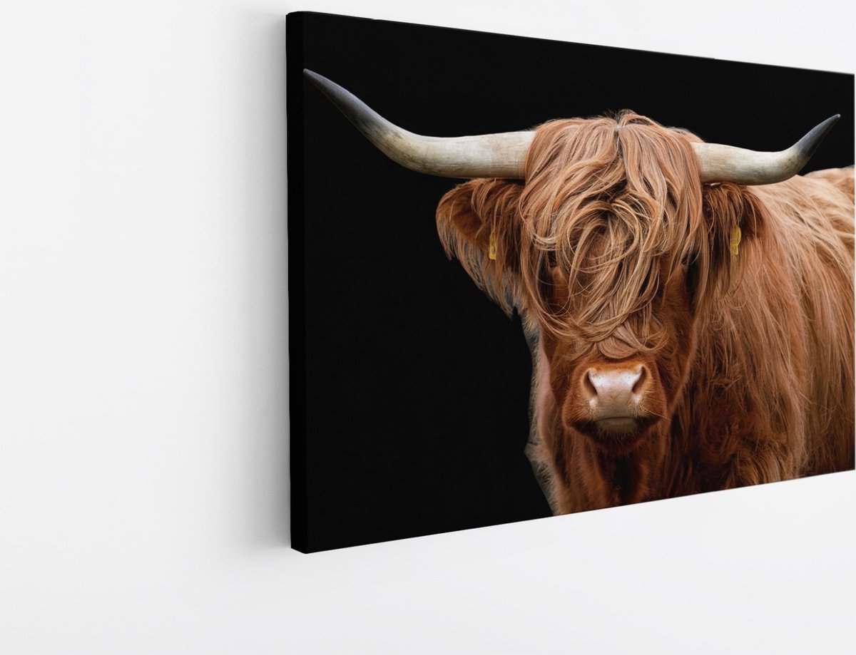 Saammp Canvas Schilderij - Schotse Hooglander Koe - Natuur - Dieren - Portret - 45x30 - Foto op canvas - Wanddecoratie - muurdecoratie Woonkamer - Slaapkamer decoratie - Canvas Print Multicolor