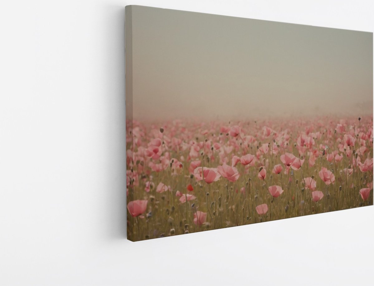 Saammp Canvas Schilderij - Mistig Bloemenveld - Natuur - Abstract - 90x60 - Foto op canvas - Wanddecoratie - Muurdecoratie Woonkamer - Kantoor Decoratie Multicolor