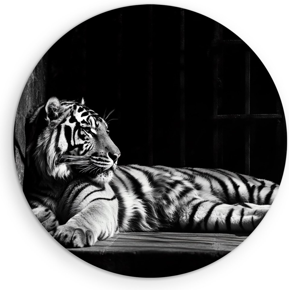 Saammp Muurcirkel Hout - Tijger - Zwart-Wit - Dieren - Ø 70 - Wandcirkel - Wanddecoratie Cirkel - muurdecoratie Woonkamer - Slaapkamer decoratie - Rond Schilderij