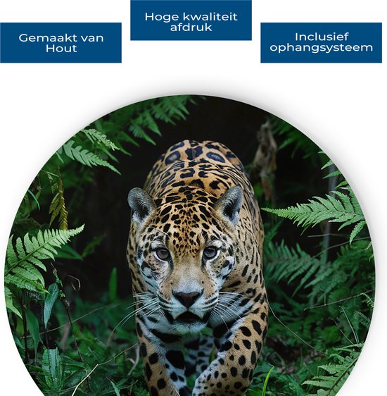 Saammp Cercle Mural Bois - Jaguar dans la nature - Animaux - Ø 30 - Cercle Mural - Décoration murale Cercle - Décoration murale Salon - Décoration Chambre - Tableau Rond