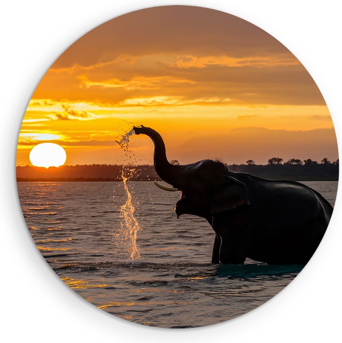 Saammp Muurcirkel Hout - Spelende Olifant in het water - Dieren - Ø 30 - Wandcirkel - Wanddecoratie Cirkel - muurdecoratie Woonkamer - Slaapkamer decoratie - Rond Schilderij