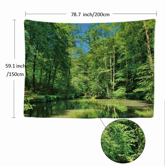 Ulticool - Arbres Forêt Nature Water Veluwe Pays- Nederland - Tapisserie - 200x150 cm - Groot tapisserie - Poster