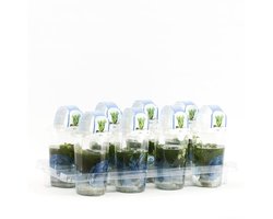 Moerings Zuurstofplanten mix | In Beker Medium