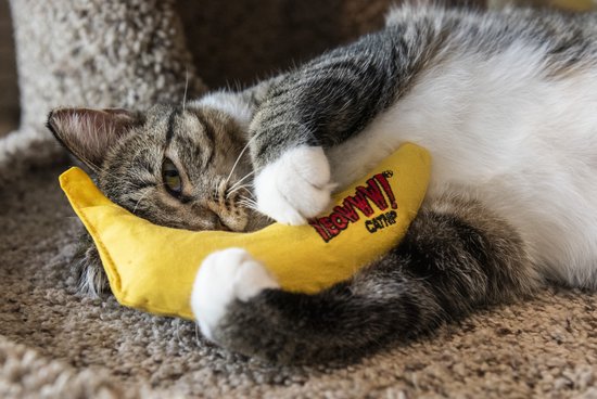 Yeowww! Banaan Kicker - Catnip Kattenkruid Speeltje voor Katten - Geel - 18 cm
