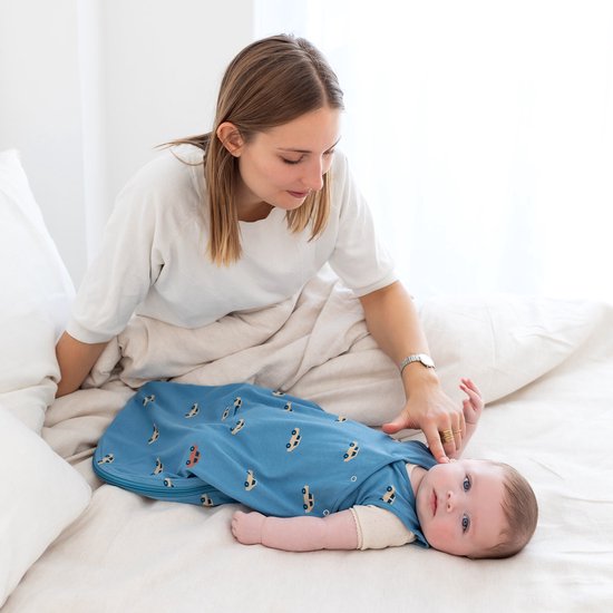 BEMINI Gigoteuse - MAGIC BAG 1-4m - TOG 0.5 - Jersey - Mario turquoise