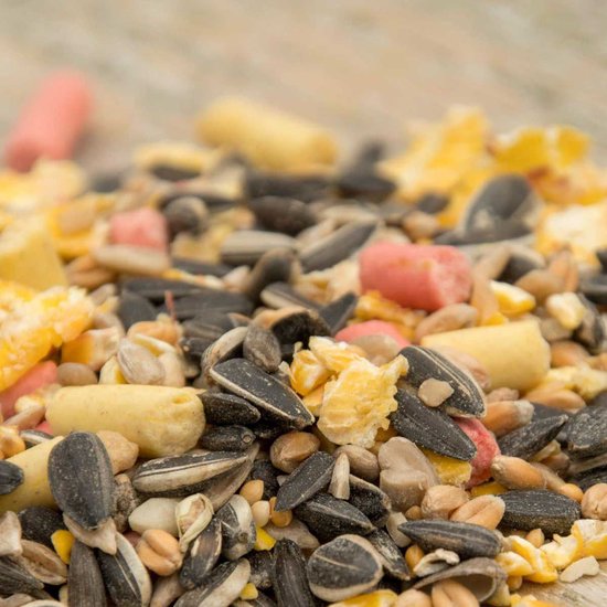 Gedetailleerde opname van vogelvoer met zonnebloempitten, maïs, granen en roze pellets.