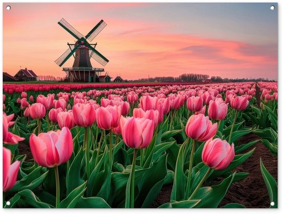 Affiche de jardin 120x90 cm - Décoration de jardin Tulipes - Moulin - Nederland - Affiche pour le jardin - Décoration extérieure - Tableau de jardin clôture - Décoration murale sur toile de jardin - Décoration murale sur toile de balcon