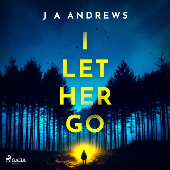I Let Her Go - cover