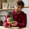 Homme tenant une plante de bambou LEGO verte, avec un pot doré.