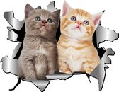 Autocollants pour voiture - Autocollant Chats - Autocollant voiture - 18*14cm - Autocollant porte - Coloré - Autocollant chat - Autocollant drôle pour voiture