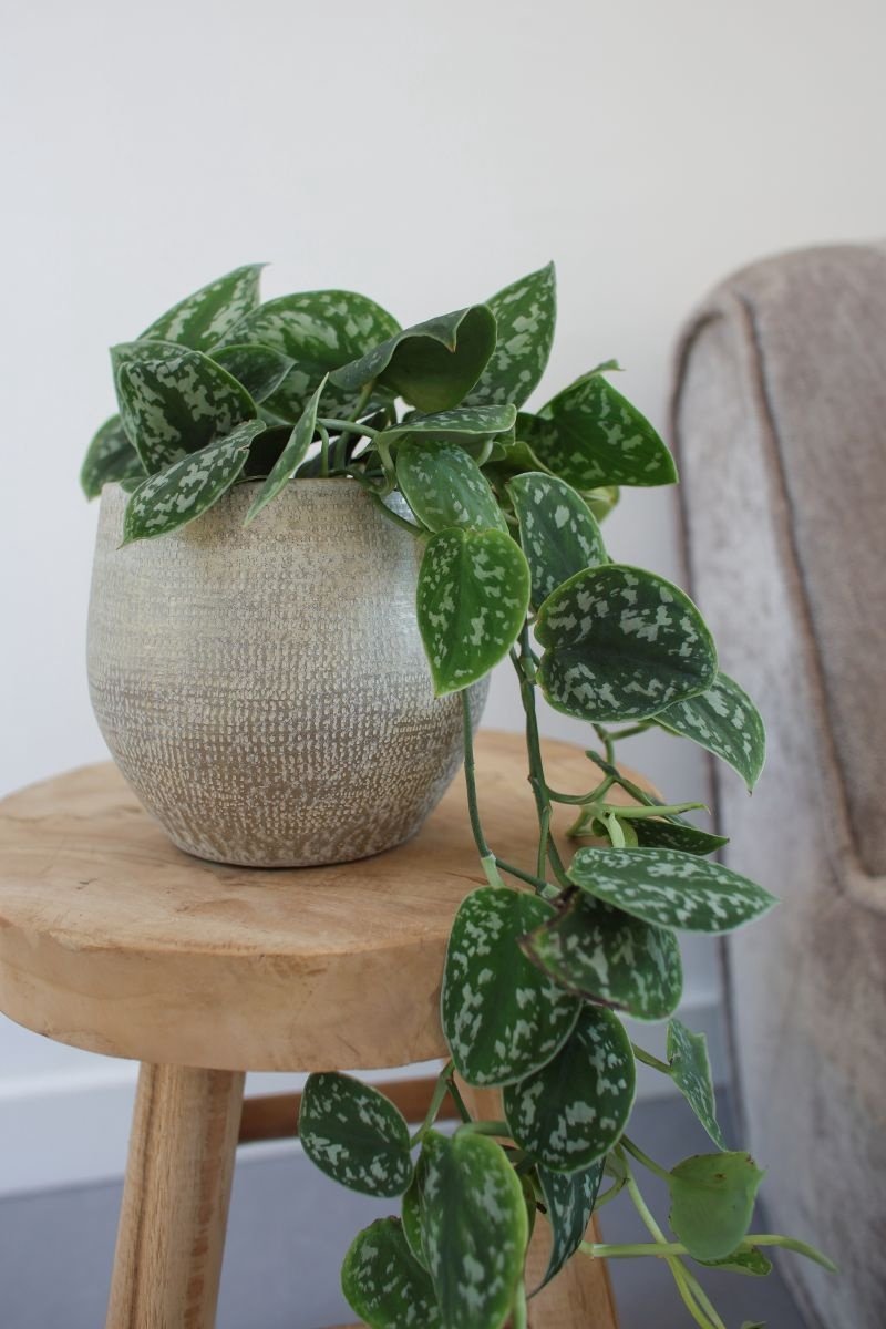 Pot Tokio Taupe D39 x H36