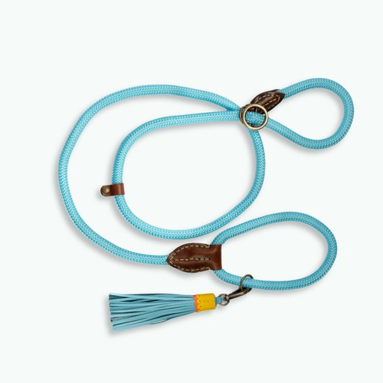 Dwam - Long John Turquoise - sliplead - Hond - Riem