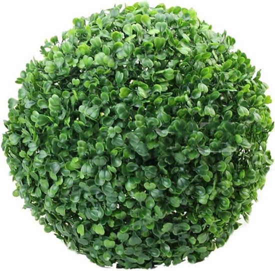 Vormsnoei multibol tuinplanten kopen