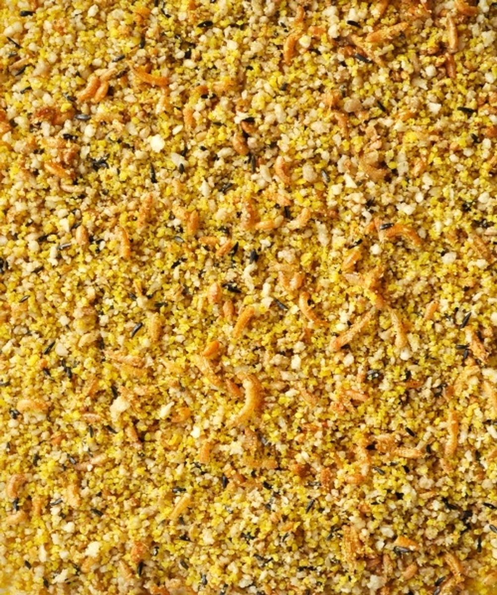 Gold Patee tropische vogels 1 kilo - Eivoer voor vogels - Vogelvoer - Patee - Nutribird