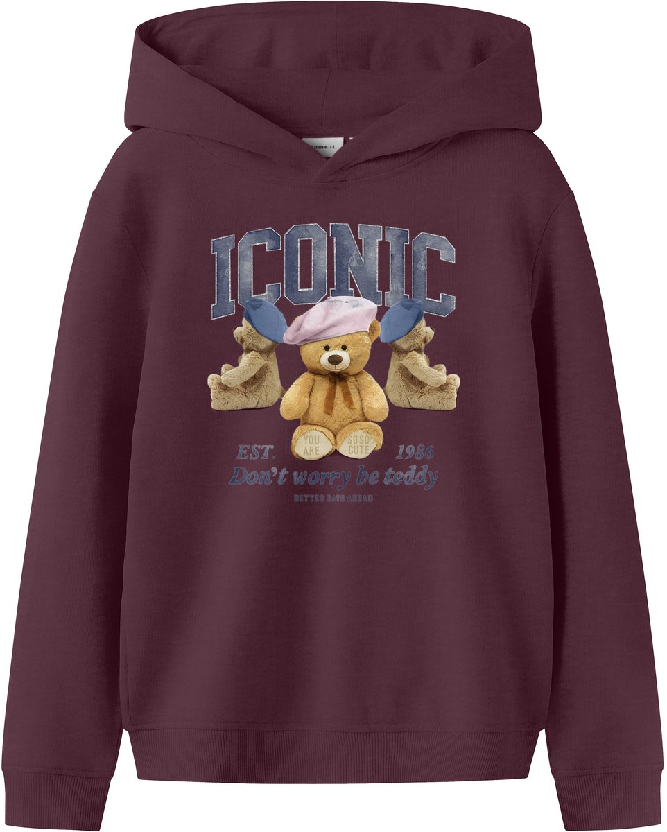 Name it Hoodie Regular fit