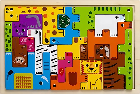 Houten tetris puzzel met 9 kleurige puzzelstukken