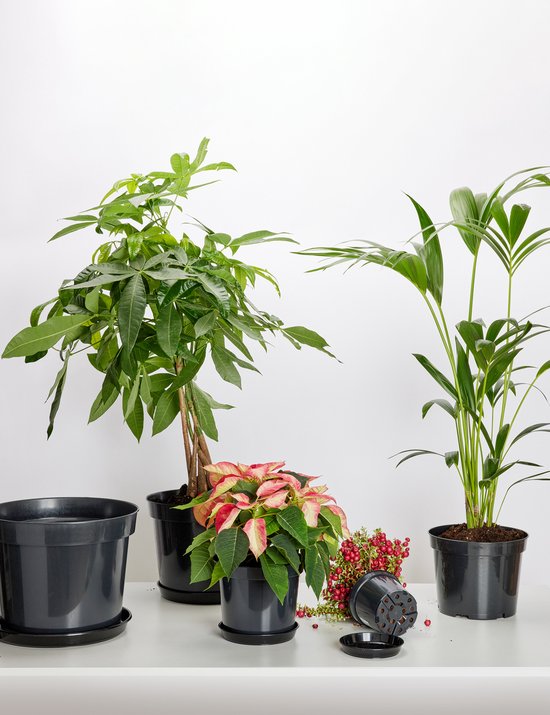 Garronda Ronde Bloempot Onderzetter – 5 stuks – Zwart - ⌀ 17cm H=2,5cm - GD-NIC-PotBase108