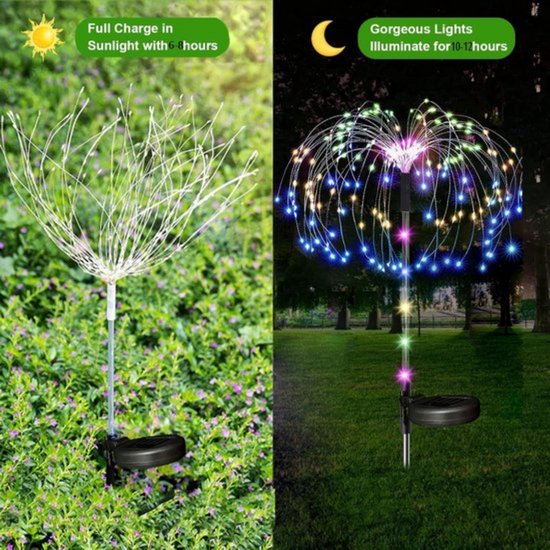 Grote zonnebloem zaden | Happy Seeds webwinkel