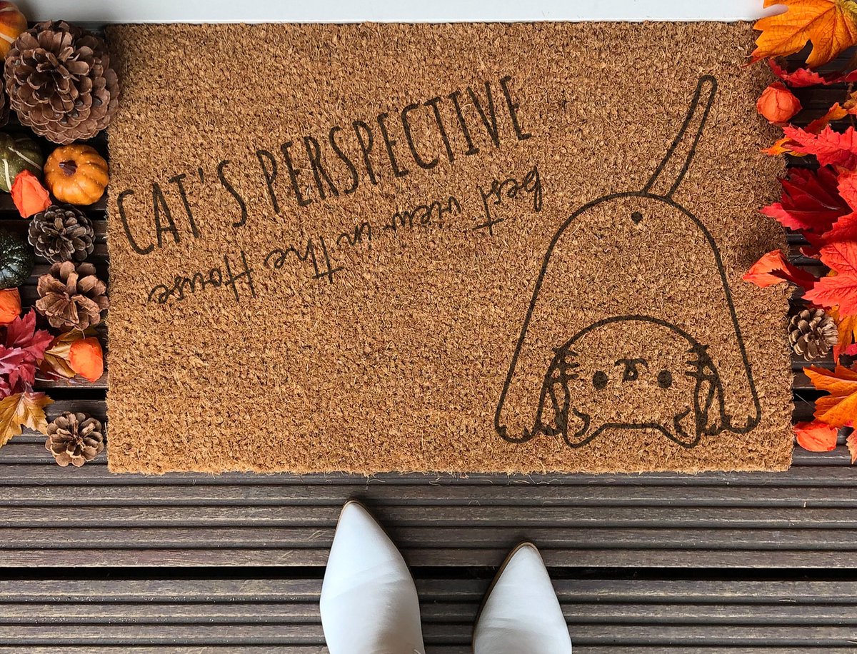 Laser Point Cat's Perspective | 60x40 cm | Nieuwe huis cadeau | Ingangsmat | Deurmat met stijl | Verhuizing cadeau | Praktisch & trendy | Perfect voor binnenkomst | Cadeau voor nieuwe woning Bruin | Zwart (Gravering 60x40)