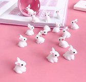 Mini Konijntjes - Miniatuur - Beeldjes - Wit - Konijn - 20 stuks - Pasen - Decoratie - Landschap - DIY