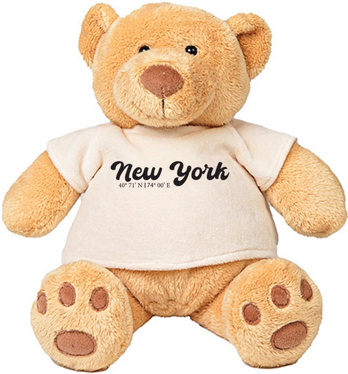 Teddy Beer New York Coördinaten - usa - amerika - vakantie - knuffel