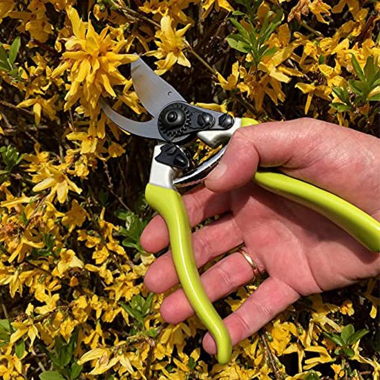 Snoeischaar - Snoeien door 20mm takken - Minder kracht nodig door tandwiel van GARDENA — afbeelding 5