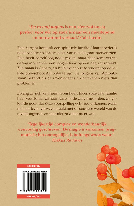 Raven 1 - De ravenjongens