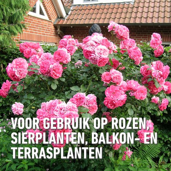 COMPO Duaxo Spray Rozen - tegen ziektes op rozen en andere sierplanten - geneest en voorkomt - spray 750 ml van Merkloos	 — afbeelding 5