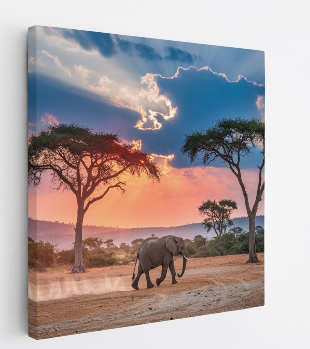 Saammp Canvas Schilderij - olifant in de serangeti - Afrika - Dieren - 20x20 - Foto op canvas - Wanddecoratie - muurdecoratie Woonkamer - Slaapkamer decoratie - Canvas Print Multicolor