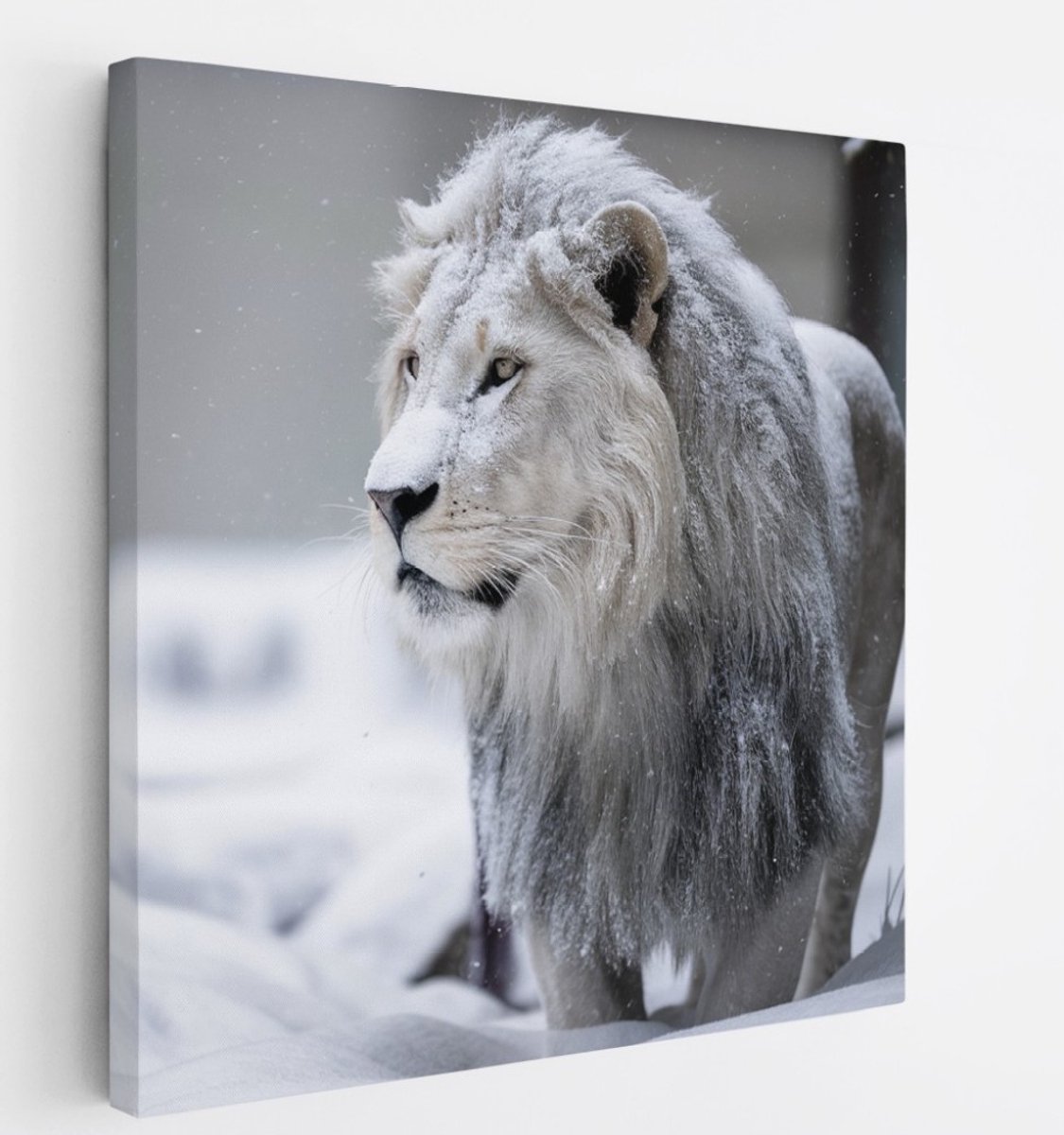 Saammp Canvas Schilderij - Leeuw in de sneeuw - Dieren - Natuur - 100x100 - Foto op canvas - Wanddecoratie - Muurdecoratie Woonkamer - Slaapkamer decoratie - Canvas Print Multicolor