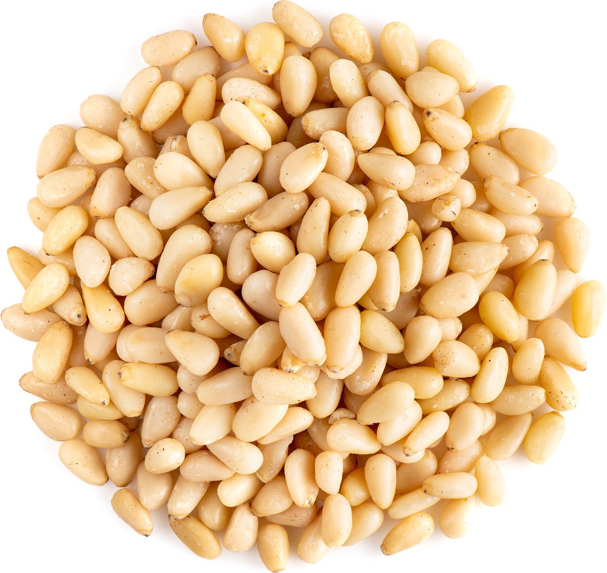 Biologische Pijnboompitten - Ideaal voor Pesto - 350 gram
