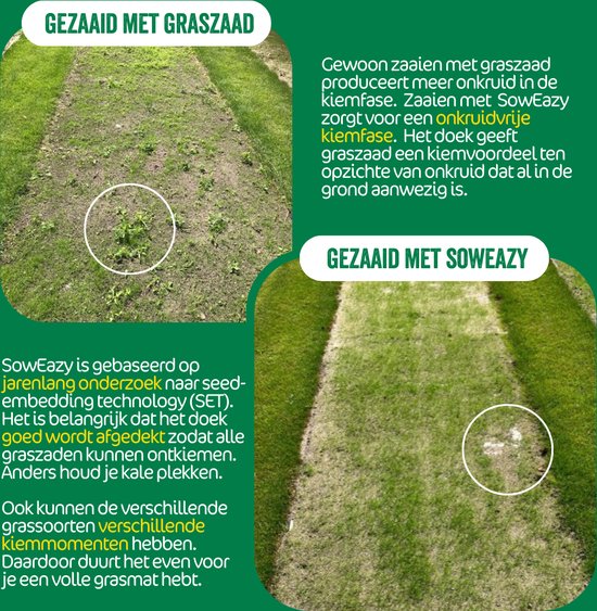 Tapis de graines de gazon biodégradable, tapis de pelouse, pelouse