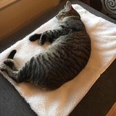 Zelf Verwarming Snooze Pad Huisdier Bed Mat voor Huisdieren Katten, Zelf Verwarming Huisdier Deken Honden en Kittens voor Reizen of Huis, Wit