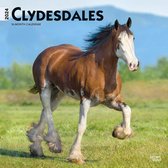 Clydesdales Kalender 2024