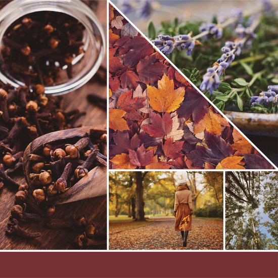 Yankee Candle - Autumn Daydream Large Jar Geurkaars - tot 90 branduren - twee lonten