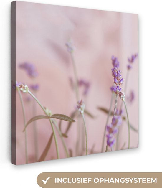 Canvas Schilderij Lavendel - Bloemen - Paars - Botanisch - Natuur - 20x20 cm - Wanddecoratie