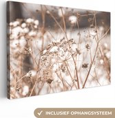 Tableau sur toile Fleurs séchées - Wit - Plantes - 140x90 cm - Décoration murale
