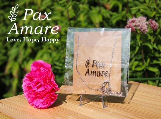 Stalen goldplated ketting met hanger met rozenkwarts voor dames