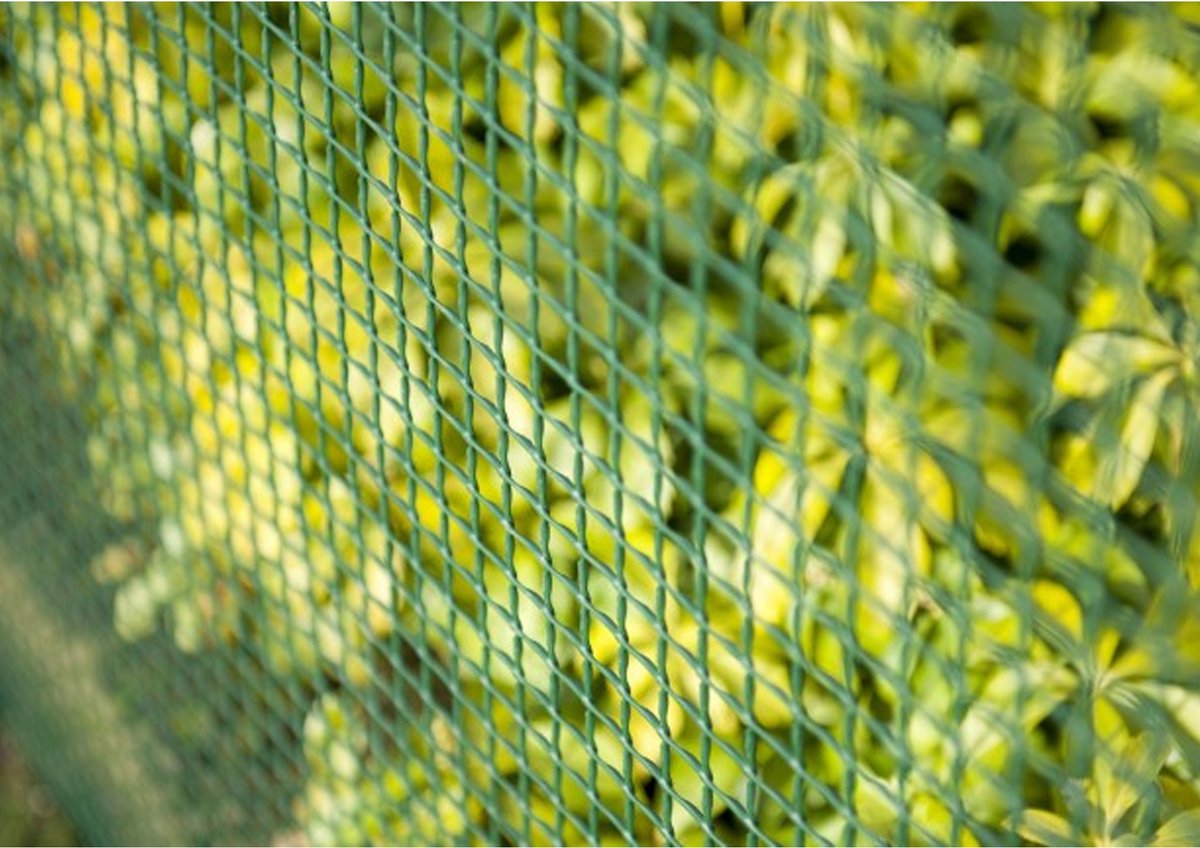 Grillage rouleau polyéthylène vert H.1 x L.5 m, Idéal Garden maille H.3 x  l.3 mm