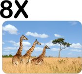 BWK Stevige Placemat - Drie Giraffen in het Hoge Bruine Gras - Set van 8 Placemats - 45x30 cm - 1 mm dik Polystyreen - Afneembaar