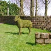 Tuinbeeld -  Schaap - Mos