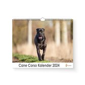 Kalender 2024 - Cane Corso - 35x24cm - 300gms - Spiraalgebonden - Inclusief ophanghaak