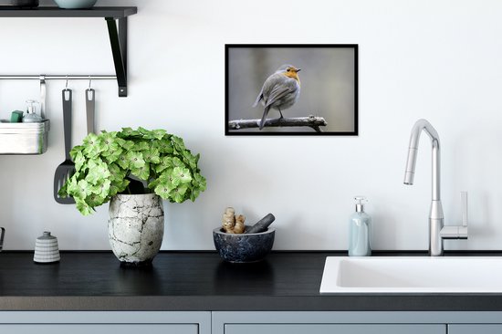 Cadre photo avec affiche - Robin - Branche - Hiver - 30x20 cm - Cadre pour affiche