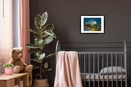 Affiche avec cadre Poisson - Fond - Mer - 40x30 cm